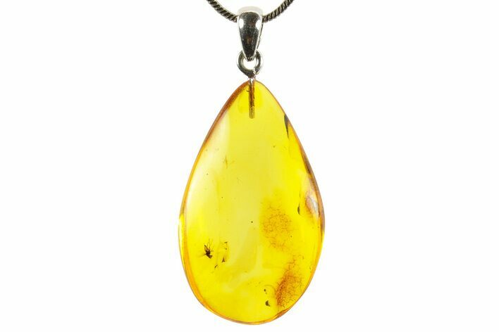 Polished Baltic Amber Pendant (Necklace) - Contains Fly! #367373